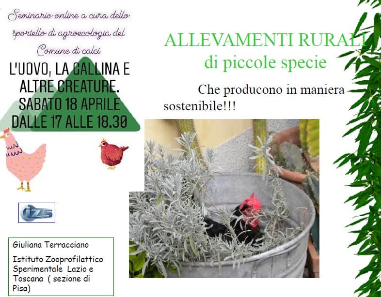 Presentazione di Giuliana Terracciano